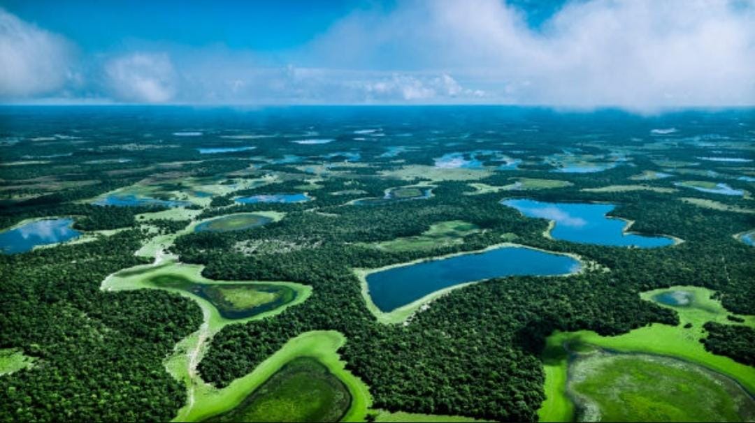 Pantanal