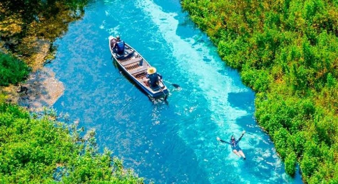 Bonito