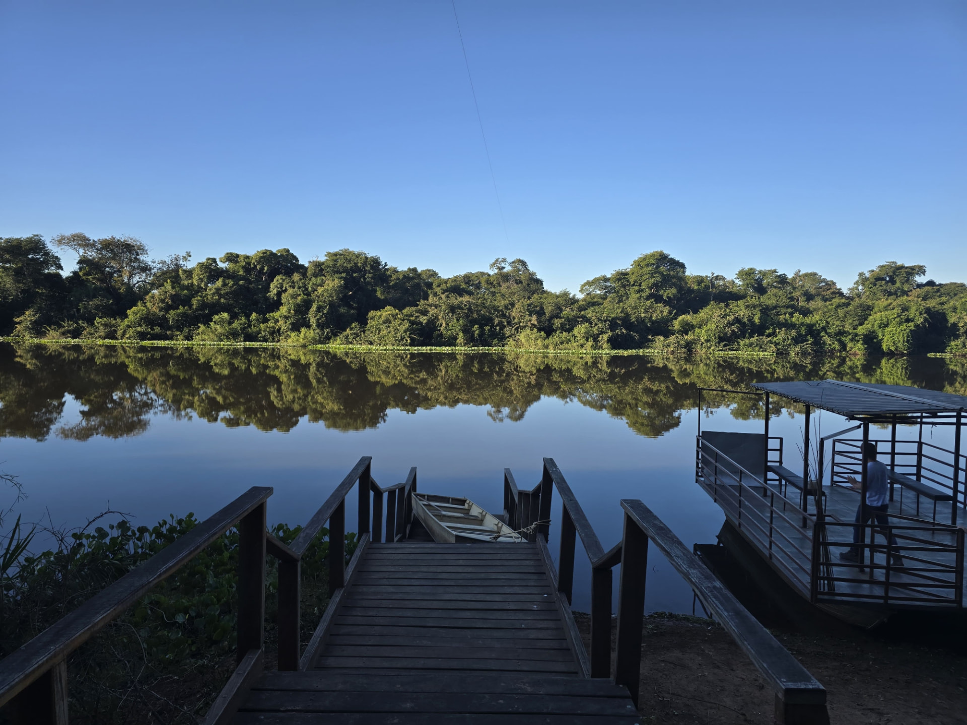 Wooden dock on a still Pantanal river